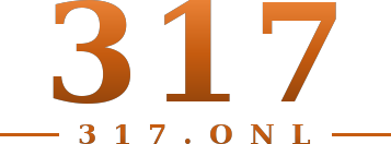 317 logo